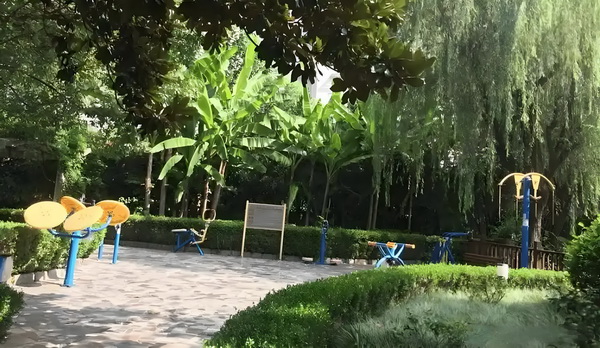 怎么样满足深圳户口_杨幂在首映礼上的一个举动，让赵丽颖再成为焦点 并非骗取资金法占国家有拆迁